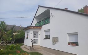 Jani Vendeghaz Ground Floor & Apartman
